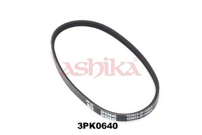 ASHIKA Keilrippenriemen