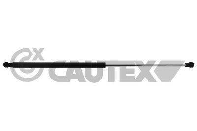 CAUTEX Gasdemper, Achterruit (773482)
