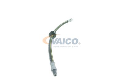 FURTUN FRANA VAICO V240954 39