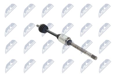 PLANETARA NTY NPWRE010 31