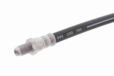 FURTUN FRANA VAICO V240091 2