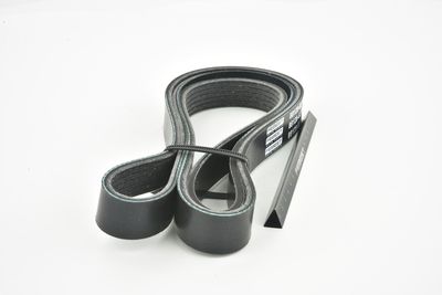 CUREA TRANSMISIE CU CANELURI FEBEST 881286L1555 41