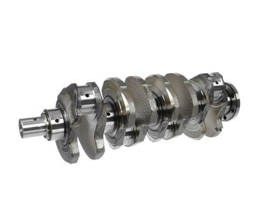 ARBORE COTIT ET ENGINETEAM HK0165 16