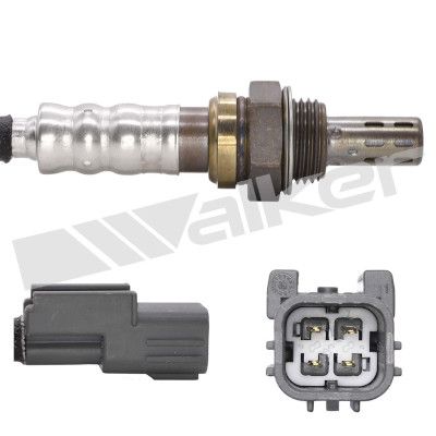 LAMBDASONDE WALKER PRODUCTS 250241283 4