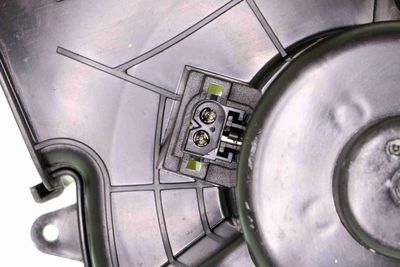 ANSAUGGEBLäSE INNENRAUMLUFT VEMO V30031782 1