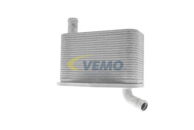 RADIATOR ULEI ULEI MOTOR VEMO V48600022 30