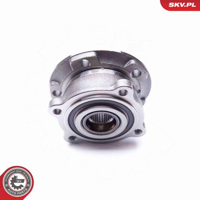 SET RULMENT ROATA ESEN SKV 29SKV176 2