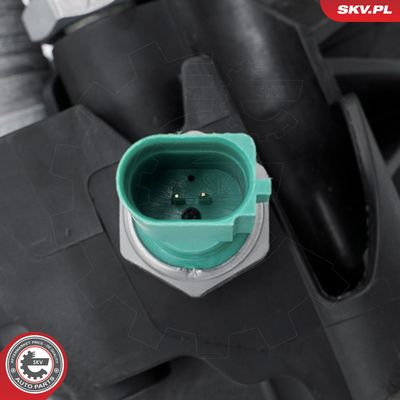 ESEN SKV - Chladič motorového oleja VAG , 31SKV244