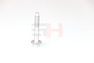 SURUB CAPAT DE AX GH GH392528 44