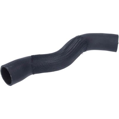 FURTUN EAR SUPRAALIMENTARE