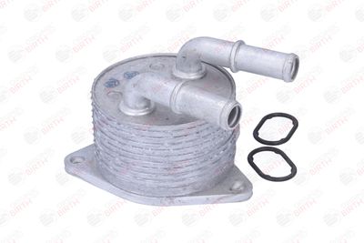 RADIATOR ULEI ULEI MOTOR BIRTH 80874 11