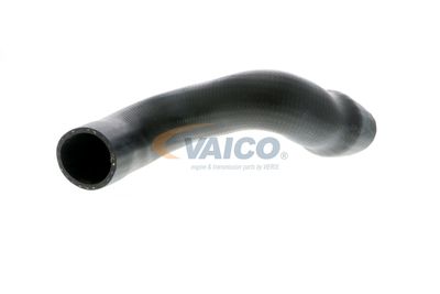 FURTUN EAR SUPRAALIMENTARE VAICO V103828 57