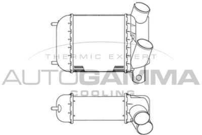 Интеркулер AUTOGAMMA 101950 для RENAULT 21