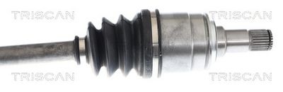 PLANETARA TRISCAN 854011615 2