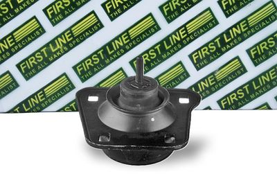 окачване, двигател FIRST LINE FEM4035