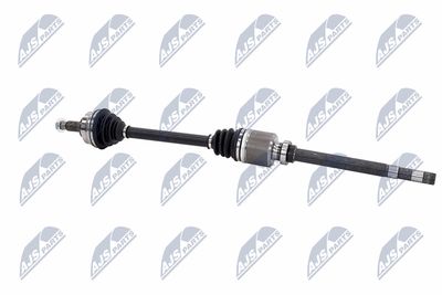 PLANETARA NTY NPWCT181 26