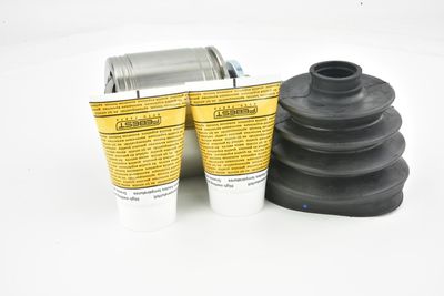 SET ARTICULATIE PLANETARA FEBEST 0411V97WLHR 25