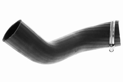 FURTUN EAR SUPRAALIMENTARE