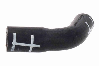KüHLERSCHLAUCH VAICO V106934 1