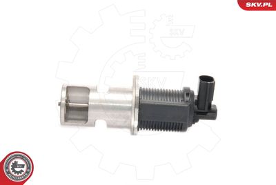 EGR Valve 14SKV009