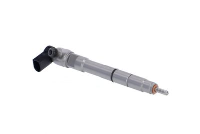 INJECTOR REMANTE 002003002147R 48