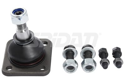 ARTICULATIE SARCINA/GHIDARE