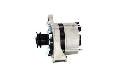 GENERATOR / ALTERNATOR REMANTE 011003000270R 10