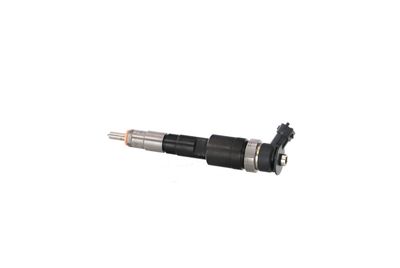 INJECTOR REMANTE 002003002123R 12