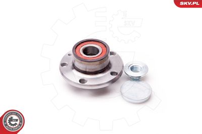 Wheel Bearing Kit 29SKV004