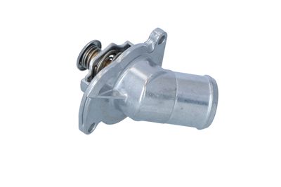 TERMOSTAT LICHID RACIRE NRF 725144 25