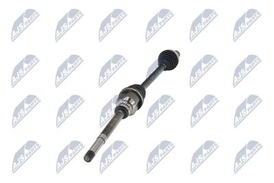 PLANETARA NTY NPWPE017 36