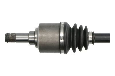 Drivaxel PASCAL G2F029PC för FIAT
