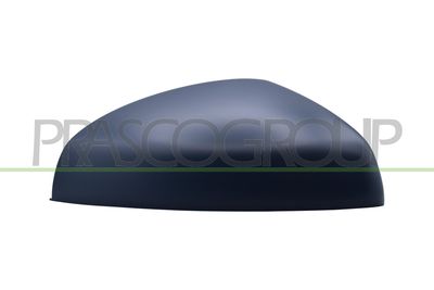 ACOPERIRE OGLINDA EXTERIOARA