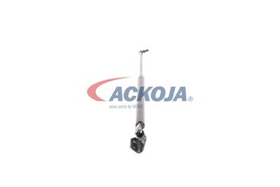 AMORTIZOR PORTBAGAJ ACKOJA A320095 49