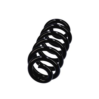 ARC SPIRAL EIBACH R22994 2