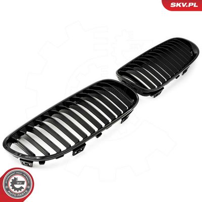 GRILA RADIATOR ESEN SKV 66SKV112 1