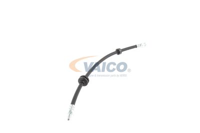 FURTUN FRANA VAICO V240328 42