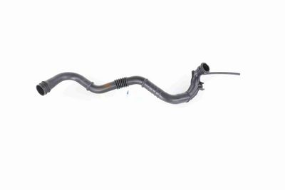 FURTUN EAR SUPRAALIMENTARE VAICO V460742 8