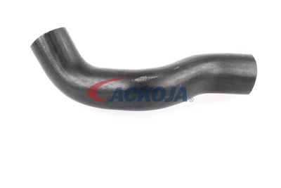 FURTUN EAR SUPRAALIMENTARE ACKOJA A380307 35