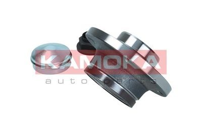 Wheel Bearing Kit 5500327