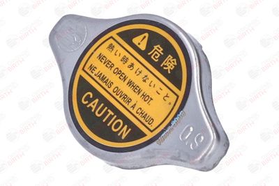 BUSON RADIATOR BIRTH 8069 3