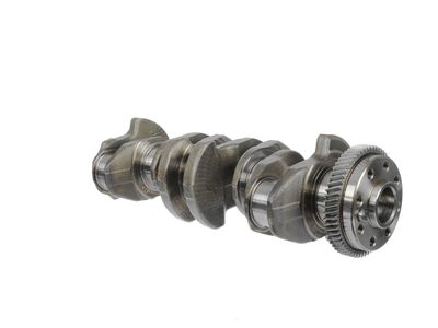 ARBORE COTIT ET ENGINETEAM HK0183 10