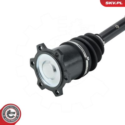 PLANETARA ESEN SKV 40SKV165 4