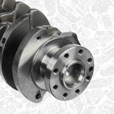 ARBORE COTIT ET ENGINETEAM HK0182 4