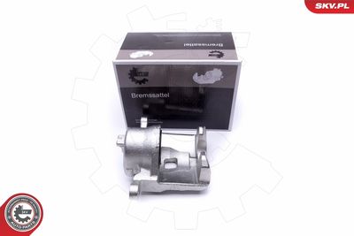 Brake Caliper 46SKV882