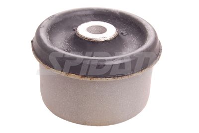 LAGERUNG ACHSKöRPER