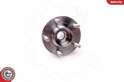 Wheel Bearing Kit 29SKV021