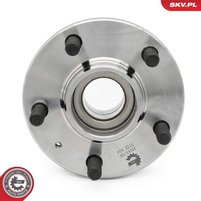 Ložisko kola, sada ESEN SKV 29SKV700