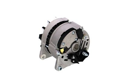 GENERATOR / ALTERNATOR REMANTE 011003000066R 20