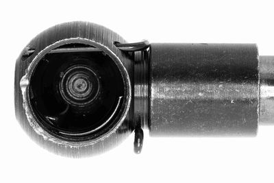 GASFEDER KOFFER-/LADERAUM VAICO V950402 1